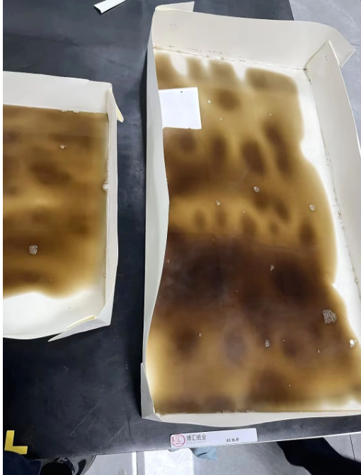 山東博匯可降解淋膜紙試產成功