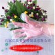 供應(yīng)一次性食品塑料薄膜手套批發(fā)多少錢