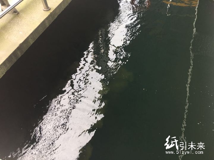 目前,春江街道的造紙污水經處理后的化學需氧量COD指標已下降至50以下