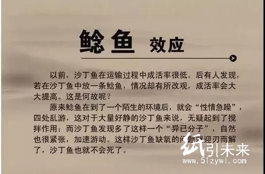 玖龍紙業