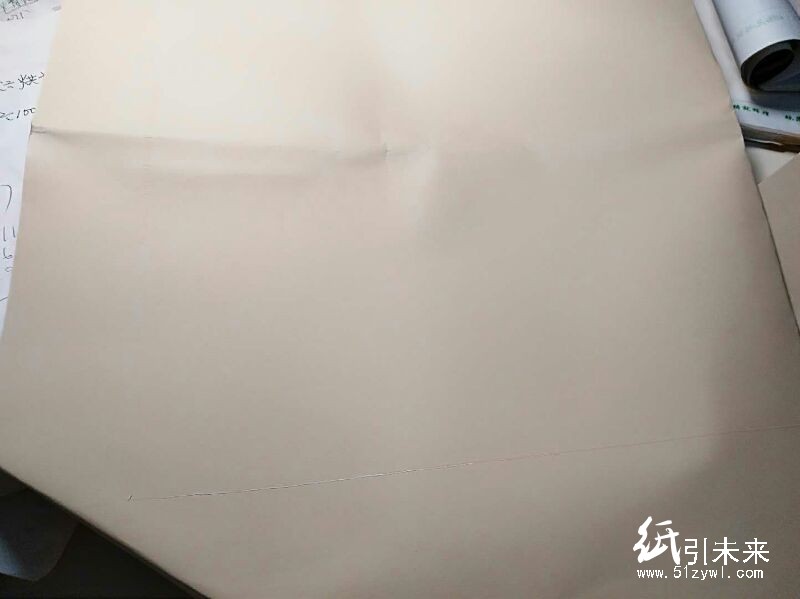 2-22 廢乳白色保溫紙