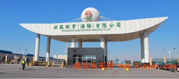 玖龍年產60萬噸瓦紙項目開始調試，總投資24.7億