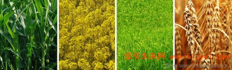 包裝設(shè)計