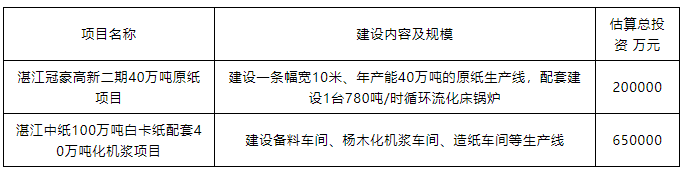 重點建設(shè)前期預備項目計劃表