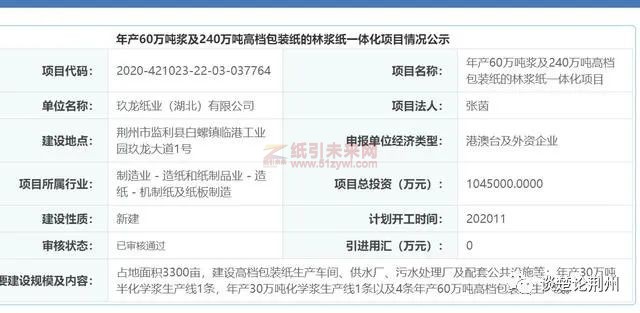 湖北玖龍紙業(yè)項(xiàng)目公示