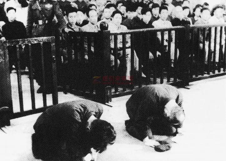 1956年,日本戰(zhàn)犯在沈陽(yáng)特別軍事法庭上跪地謝罪